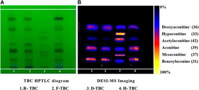 Rapid visual characterization of alkaloid changes in traditional processing of Tibetan medicine <mark class="highlighted">Aconitum</mark> pendulum by high-performance thin-layer chromatography coupled with desorption electrospray ionization mass spectrometry imaging